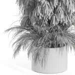 Plants collection 996