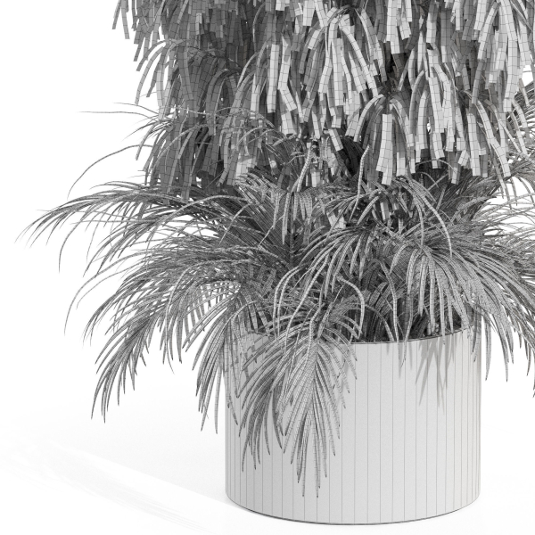 Plants collection 996