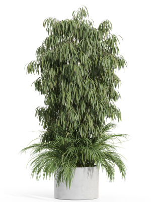 plants-collection-996-3d-model-c8b7f26b43