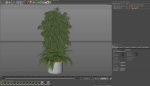 Plants collection 996
