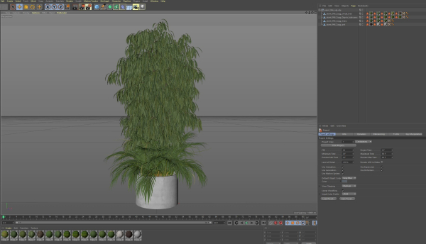 Plants collection 996