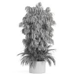 Plants collection 996