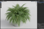 Plants collection 997