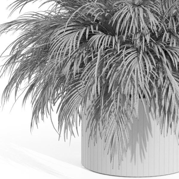 Plants collection 997