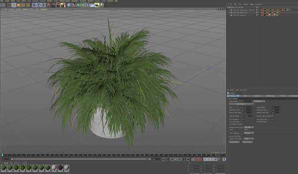 Plants collection 997