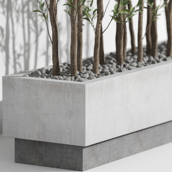 Plants collection 998