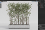 Plants collection 998