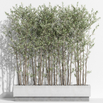 Plants collection 998