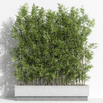 Plants collection 999