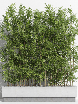Plants collection 999