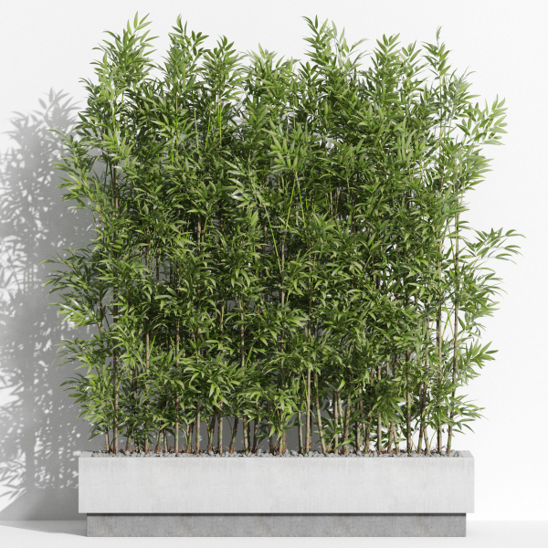 Plants collection 999