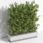 Plants collection 999