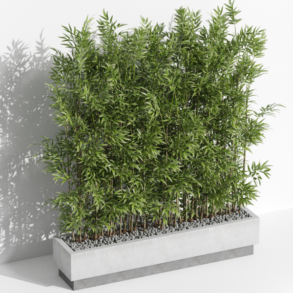 Plants collection 999