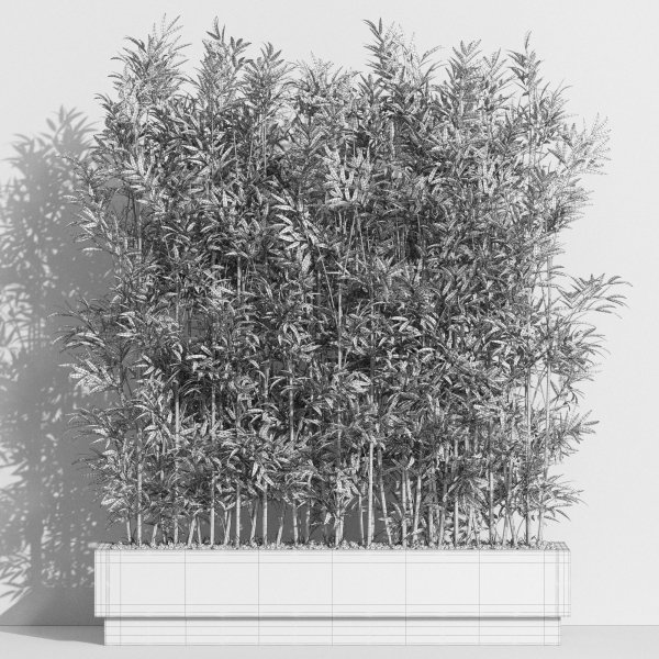 Plants collection 999