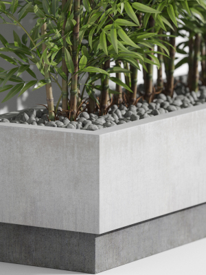 plants-collection-999-3d-model-80bc5888c5