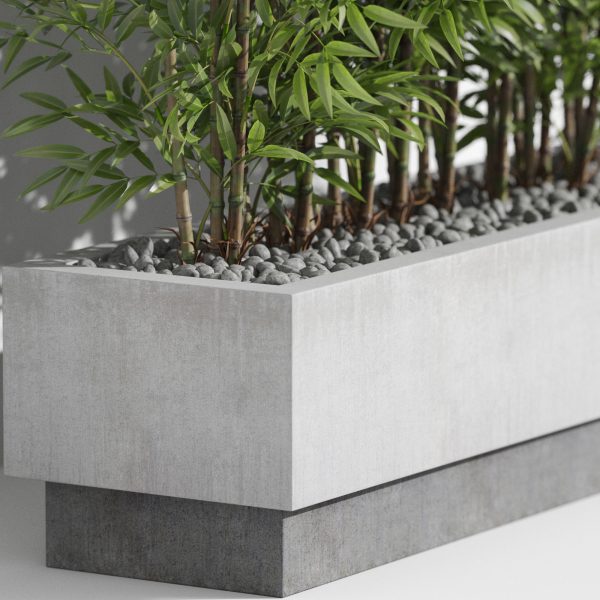 Plants collection 999