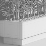 Plants collection 999