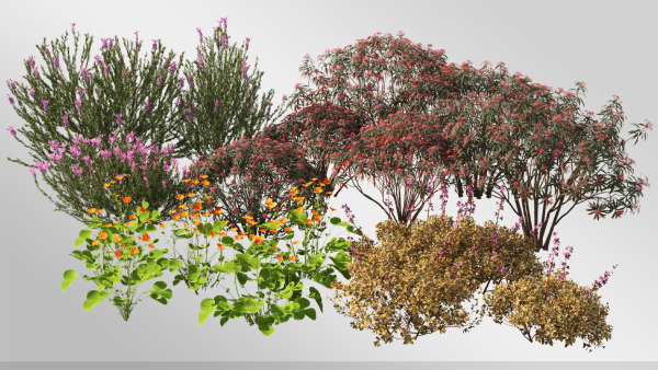 Plants Collection-Vol 01