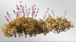 Plants Collection-Vol 01