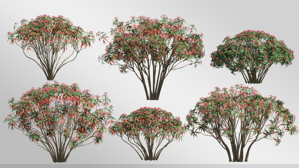 Plants Collection-Vol 01