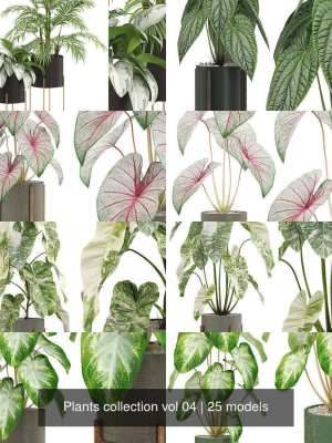plants-collection-vol-04-3d-model-max-obj-fbx-c4d-blend