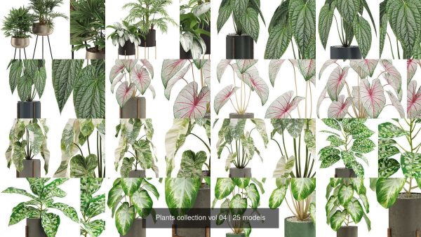 Plants collection vol 04