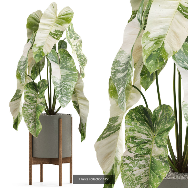 Plants collection vol 04