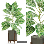 Plants collection vol 04