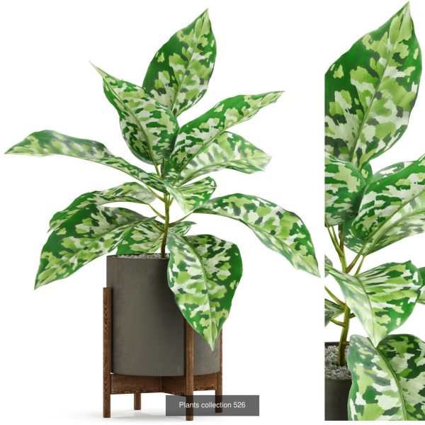 Plants collection vol 04