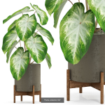 Plants collection vol 04