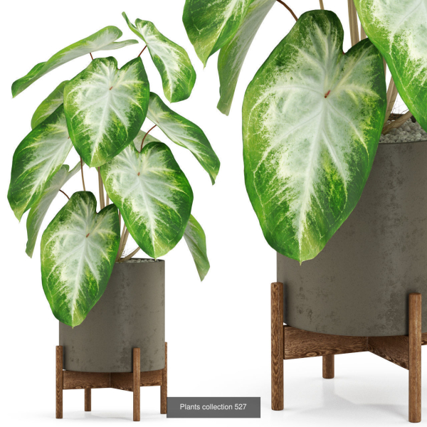 Plants collection vol 04