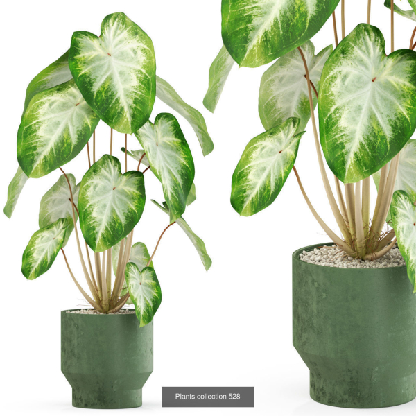 Plants collection vol 04