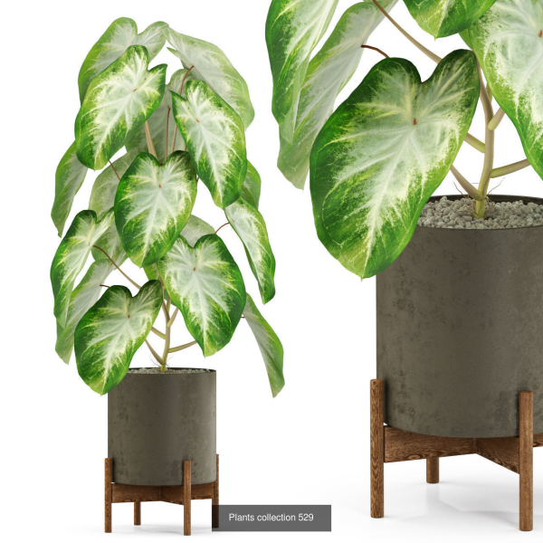 Plants collection vol 04