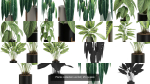 Plants collection vol 04