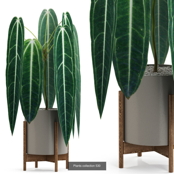 Plants collection vol 04