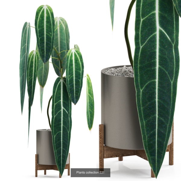 Plants collection vol 04