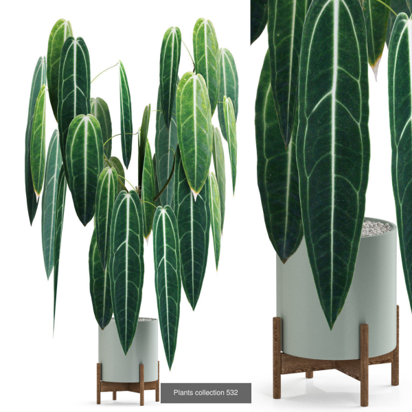 Plants collection vol 04