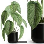 Plants collection vol 04