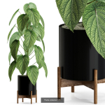 Plants collection vol 04