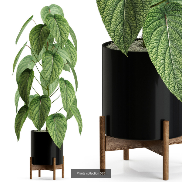 Plants collection vol 04