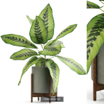 Plants collection vol 04