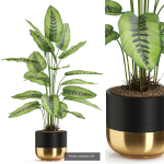 Plants collection vol 04