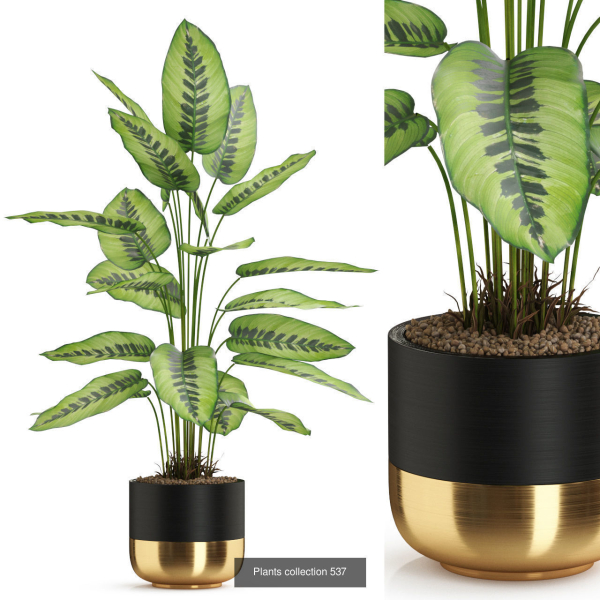 Plants collection vol 04
