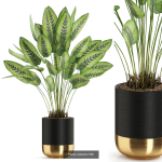 Plants collection vol 04
