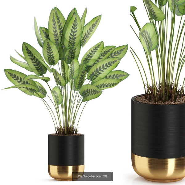 Plants collection vol 04