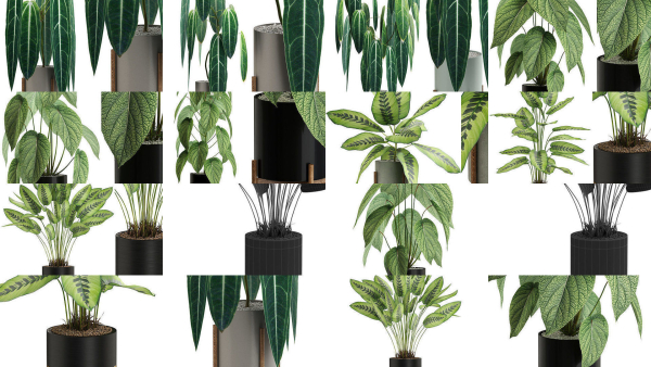 Plants collection vol 04