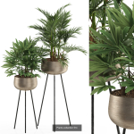 Plants collection vol 04