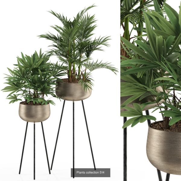 Plants collection vol 04