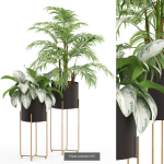 Plants collection vol 04