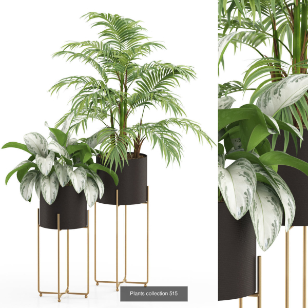 Plants collection vol 04